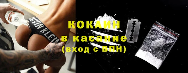 шишки Новозыбков