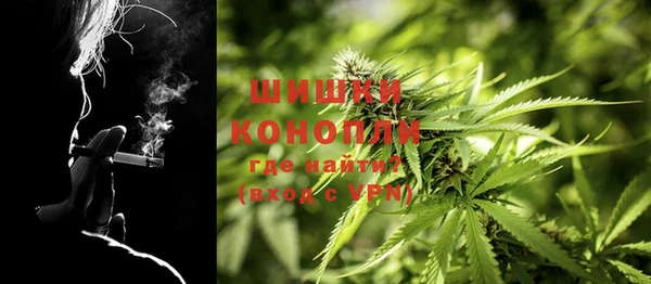 прущие крисы Абаза